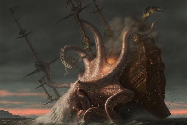 Kraken biz