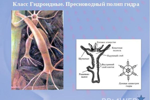 Кракен почему не заходит