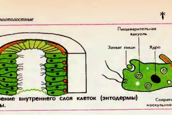 Кракен сайт kr2web in цены